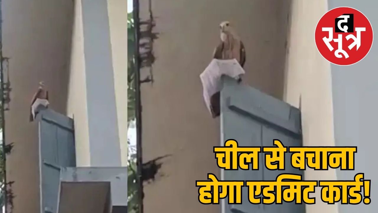 एग्जाम से पहले ‘चील टेस्ट’! युवक का एडमिट कार्ड लेकर उड़ गया परिंदा