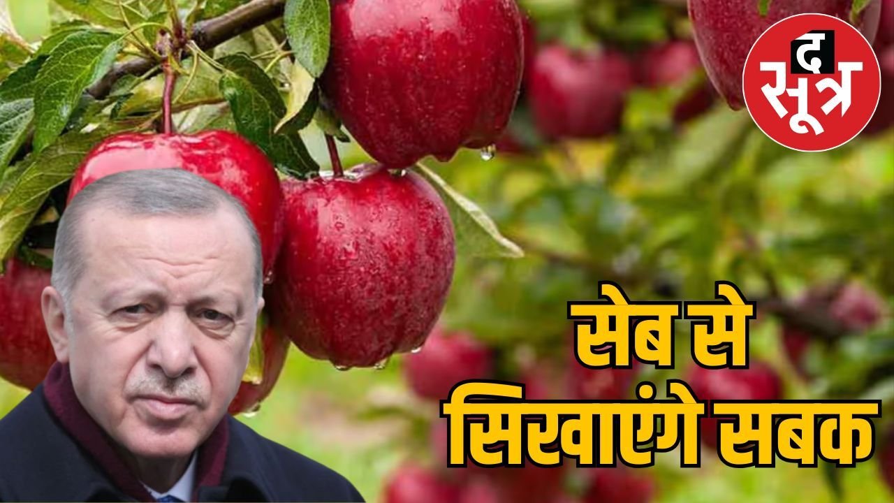 व्यापारियों ने तुर्की के सेब का किया बहिष्कार, दिखाई देशभक्ति की ताकत