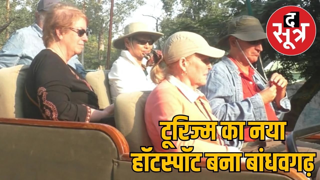 विदेशी सैलानियों की पहली पसंद बना बांधवगढ़ टाइगर रिजर्व, इस सीजन में 32 से अधिक पर्यटक पहुंचे