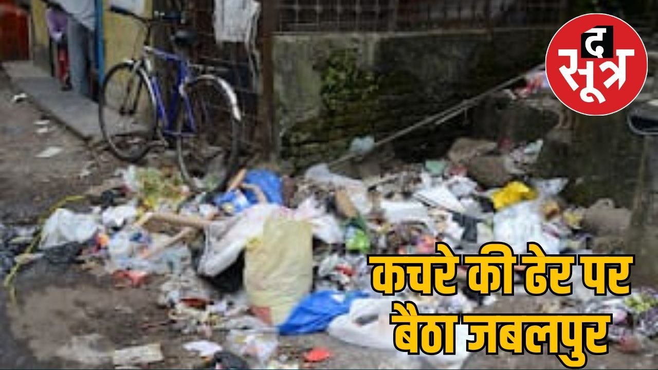 जबलपुर में गंदगी और बीमारियों पर हाईकोर्ट सख्त, ननि और सरकार से मांगी रिपोर्ट