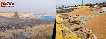 अचानक बदला मौसम का मिजाज, बारिश से भीगा गेहूं — भौड़िया वेयरहाउसों पर किसानों की बढ़ी चिंता