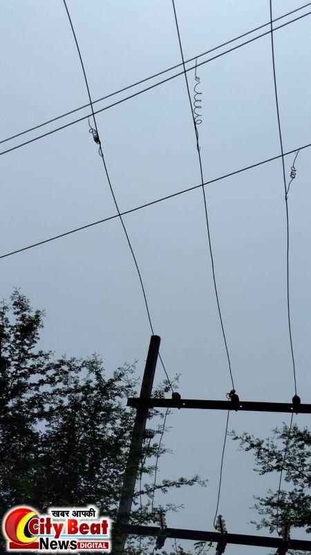 अटल ज्योति में सिंचाई के लिए अवैध कनेक्शन, दिन-रात जल रही बिजली