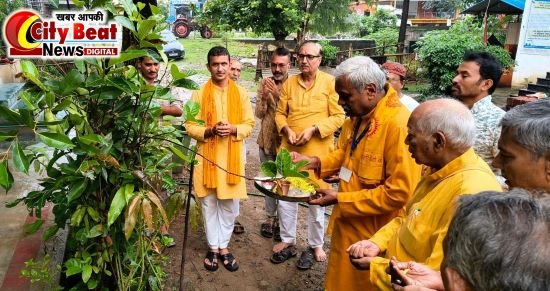 वृक्ष गंगा अभियान अंतर्गत पौधारोपण सम्पन्न